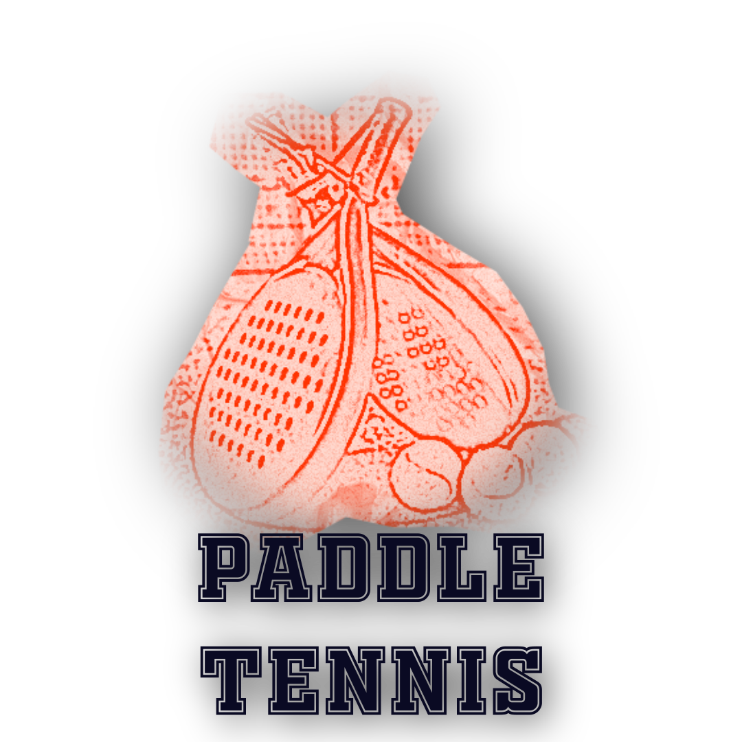 Paddle Tennis